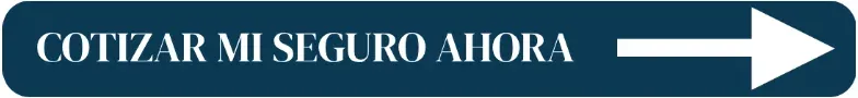 Cotiza ahora tu seguro de viaje Cotiza ahora tu seguro de viaje con protegetuviaje.com